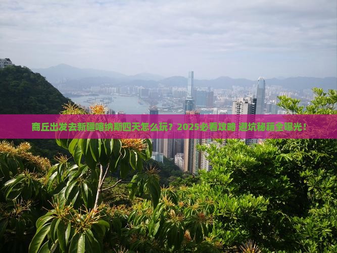 商丘到新疆喀纳斯四日游
