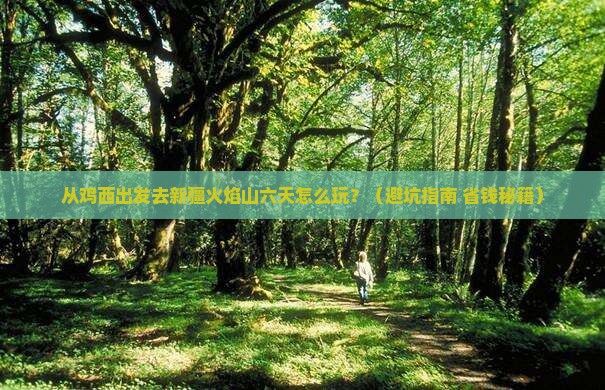 鸡西去新疆火焰山六日游