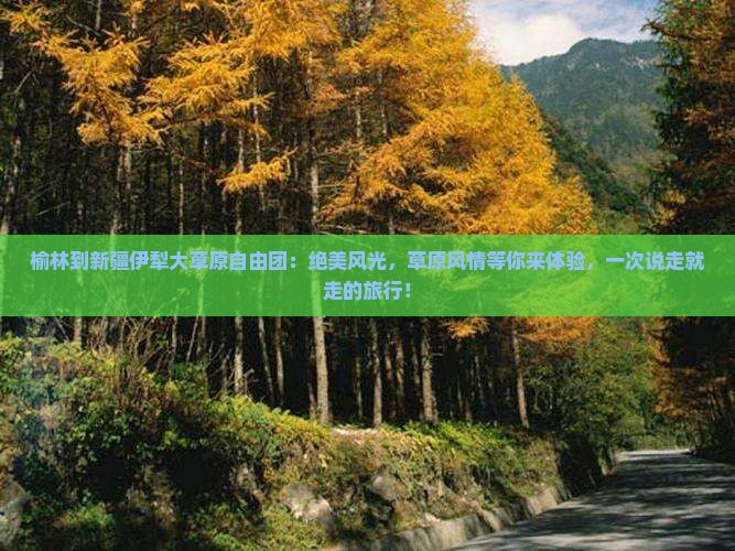 榆林到新疆伊犁大草原自由团