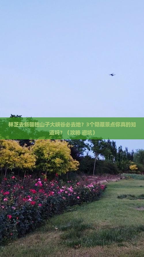 林芝去新疆独山子大峡谷必去地