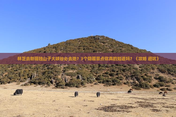 林芝去新疆独山子大峡谷必去地