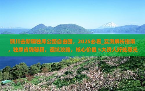 铜川去新疆独库公路自由团