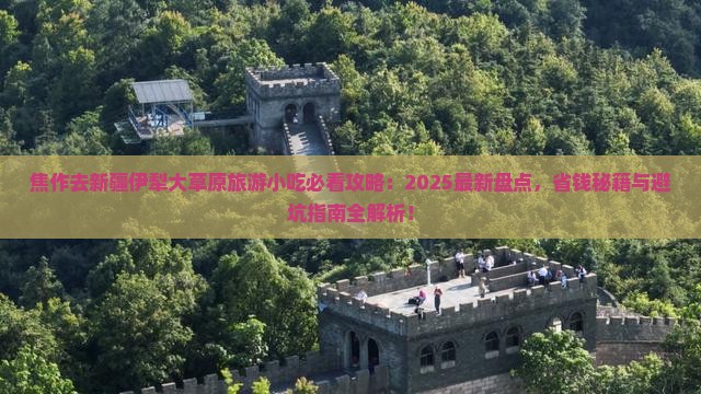 焦作去新疆伊犁大草原旅游小吃
