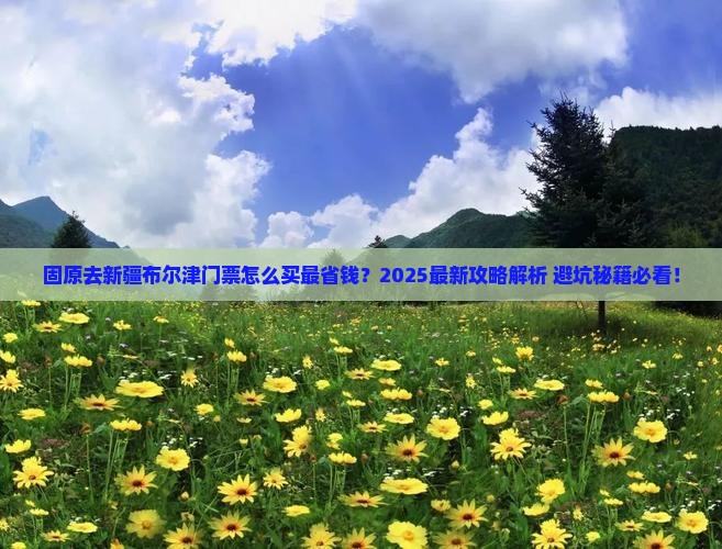 固原去新疆布尔津门票