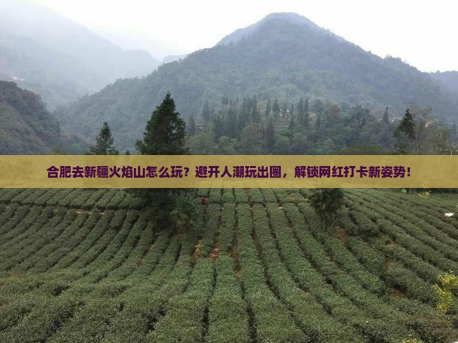 合肥去新疆火焰山哪里玩