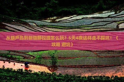 葫芦岛到新疆那拉提哪里玩