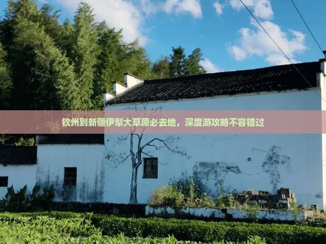 钦州到新疆伊犁大草原必去地