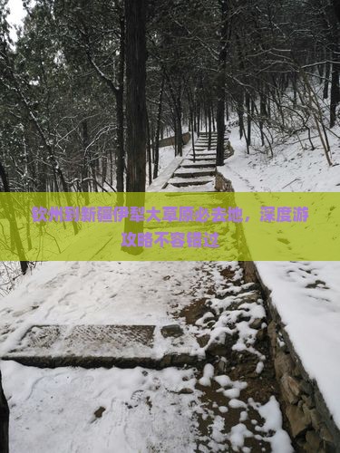 钦州到新疆伊犁大草原必去地