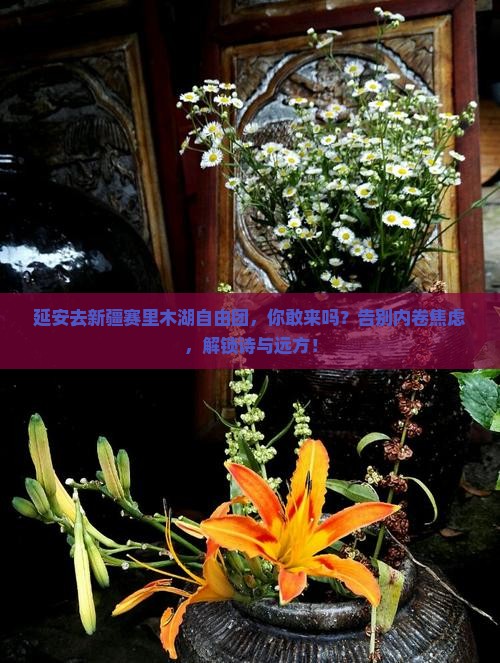 延安去新疆赛里木湖自由团