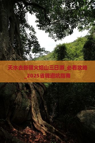 天水去新疆火焰山三日游