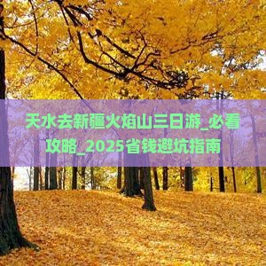 天水去新疆火焰山三日游