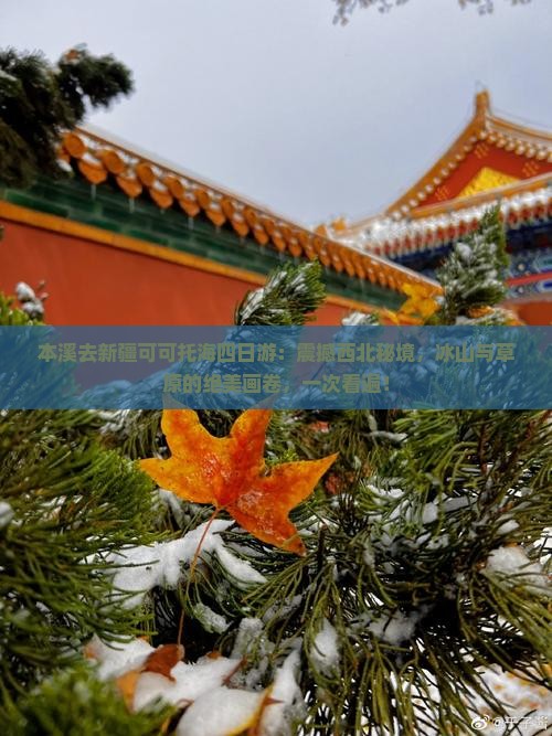 本溪去新疆可可托海四日游