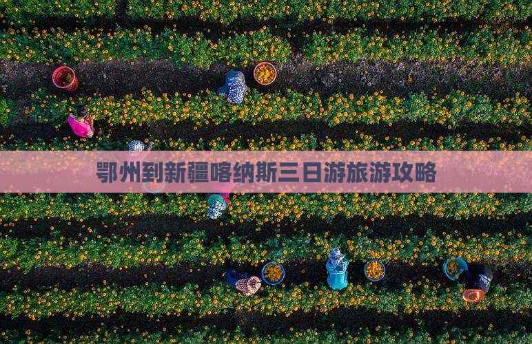 鄂州到新疆喀纳斯三日游