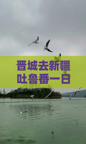 晋城去新疆吐鲁番一日