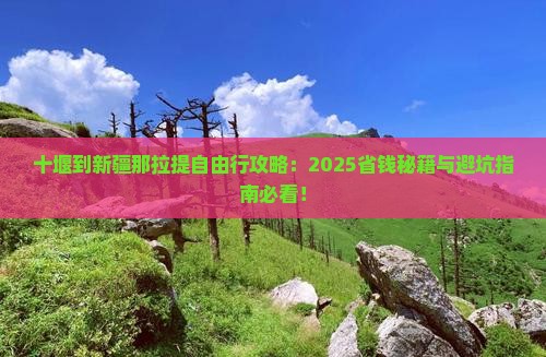 十堰到新疆那拉提自由行