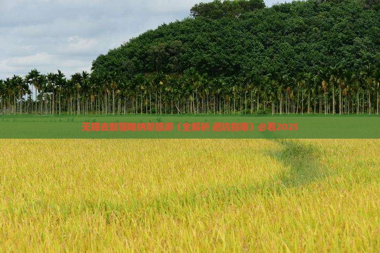 无锡去新疆喀纳斯旅游