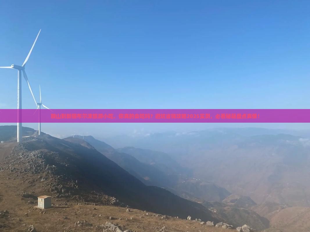 鞍山到新疆布尔津旅游小吃
