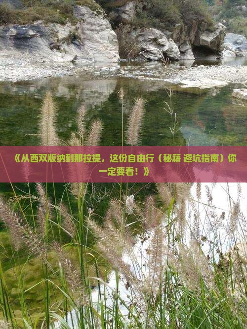 西双版纳去新疆那拉提自由行