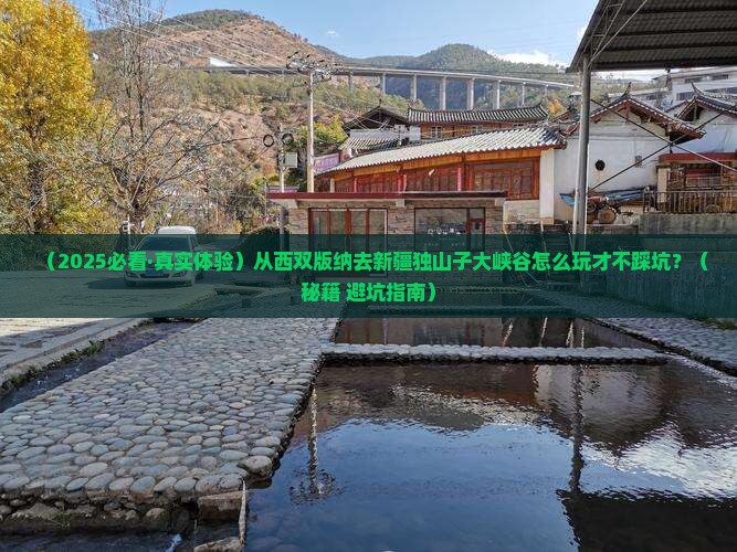 西双版纳去新疆独山子大峡谷哪里玩