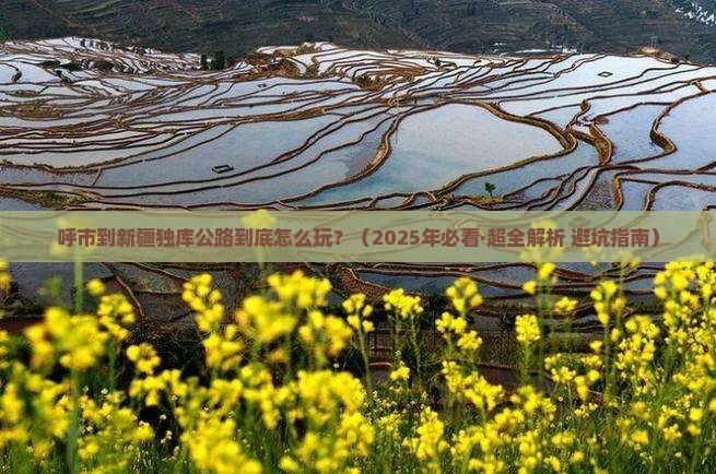 呼和浩特到新疆独库公路哪里玩