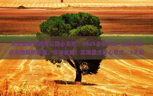 青岛去新疆独库公路必去地