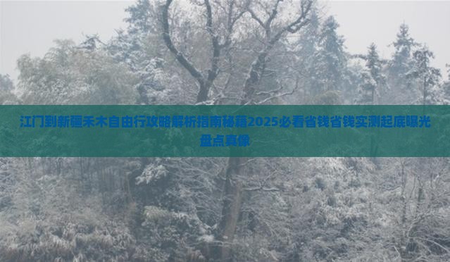 江门到新疆禾木自由行