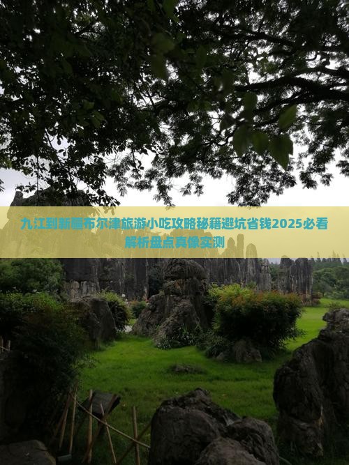 九江到新疆布尔津旅游小吃