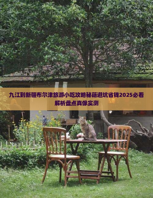 九江到新疆布尔津旅游小吃