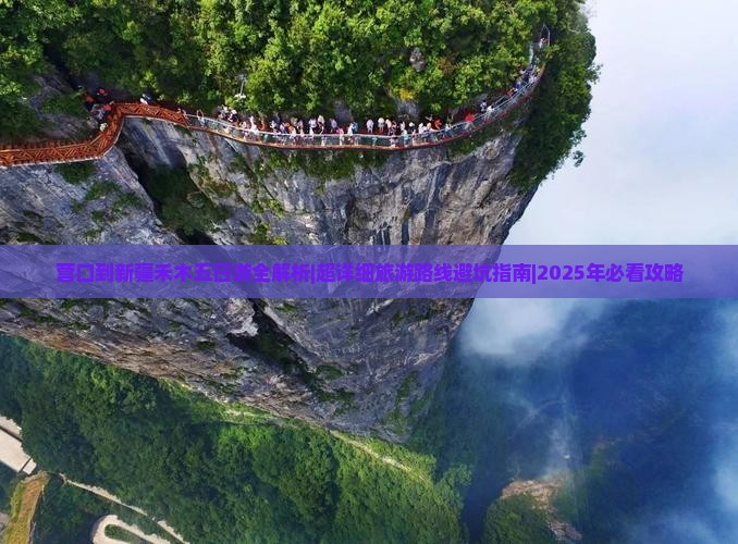 营口去新疆禾木五日游