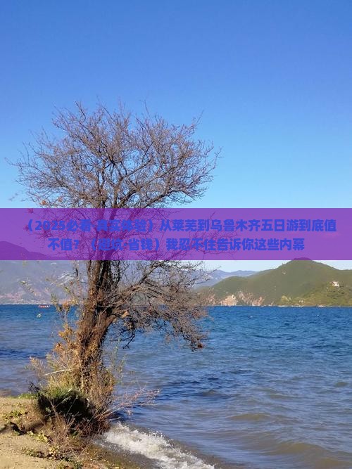 莱芜去新疆乌鲁木齐五日游