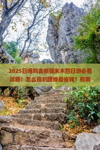 日喀则去新疆禾木四日游