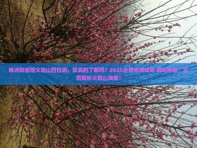 株洲到新疆火焰山四日游