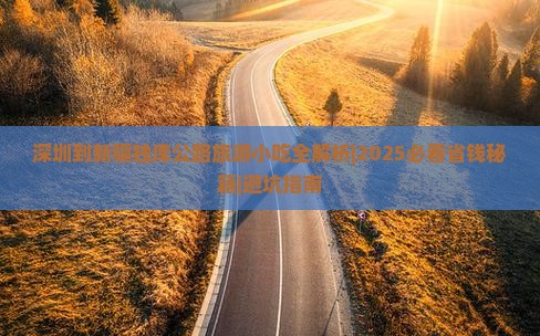 深圳到新疆独库公路旅游小吃