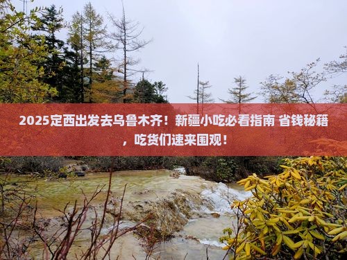 定西去新疆乌鲁木齐旅游小吃