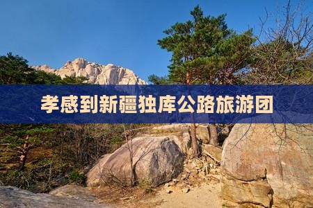 孝感到新疆独库公路大型旅游团