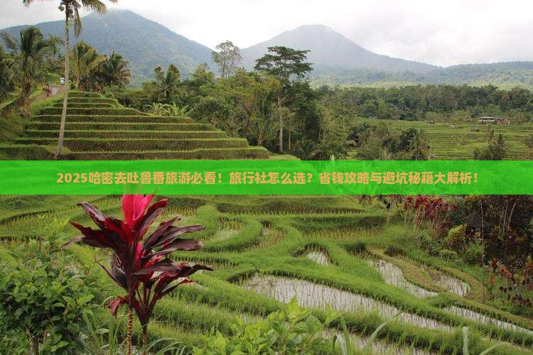 哈密去新疆吐鲁番旅行社