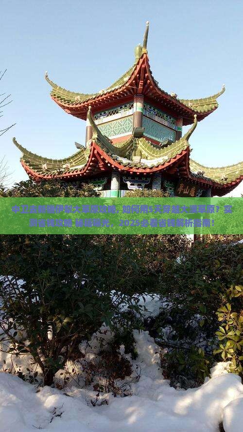 中卫去新疆伊犁大草原攻略