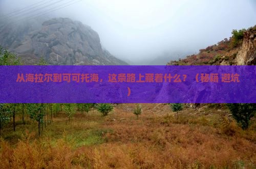 海拉尔去新疆可可托海自由行