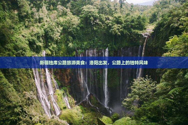 洛阳到新疆独库公路旅游小吃