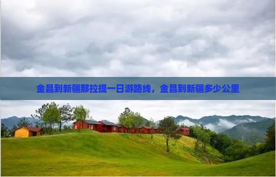 金昌到新疆那拉提一日