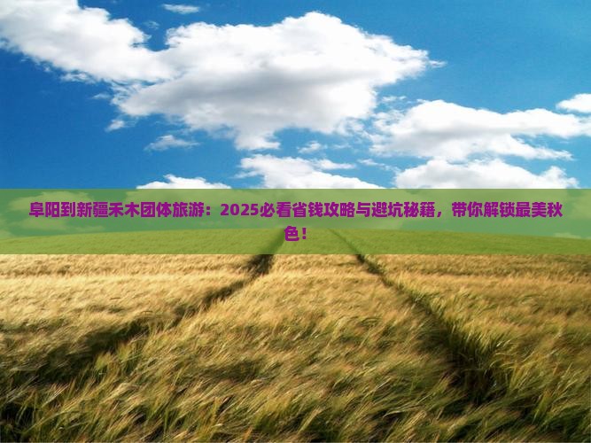 阜阳到新疆禾木团体旅游