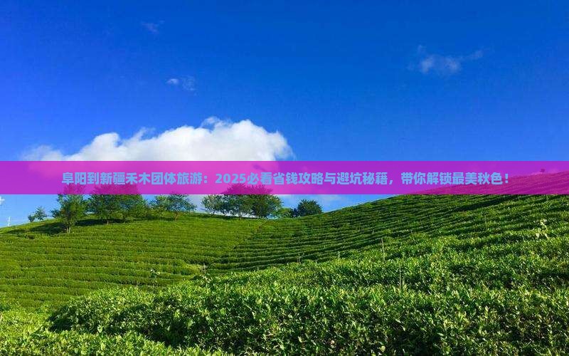 阜阳到新疆禾木团体旅游