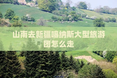 山南去新疆喀纳斯大型旅游团