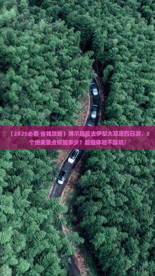 博尔塔拉去新疆伊犁大草原四日游