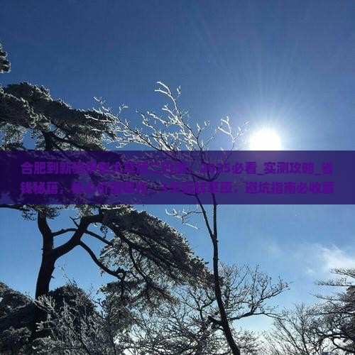 合肥到新疆伊犁大草原二日游