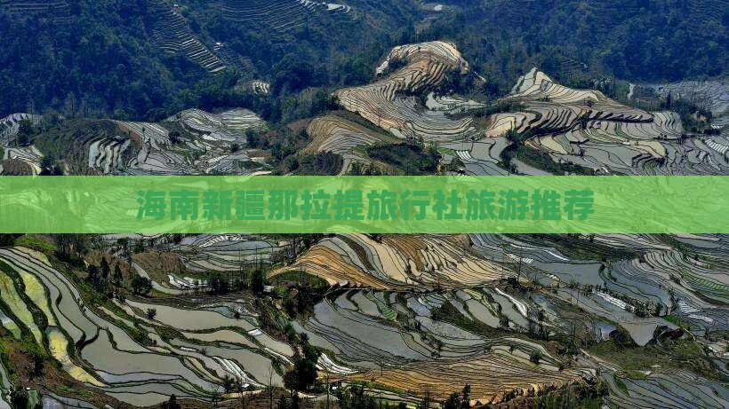 海南省直辖去新疆那拉提旅行社