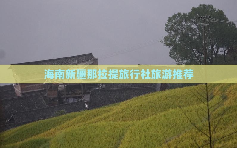 海南省直辖去新疆那拉提旅行社