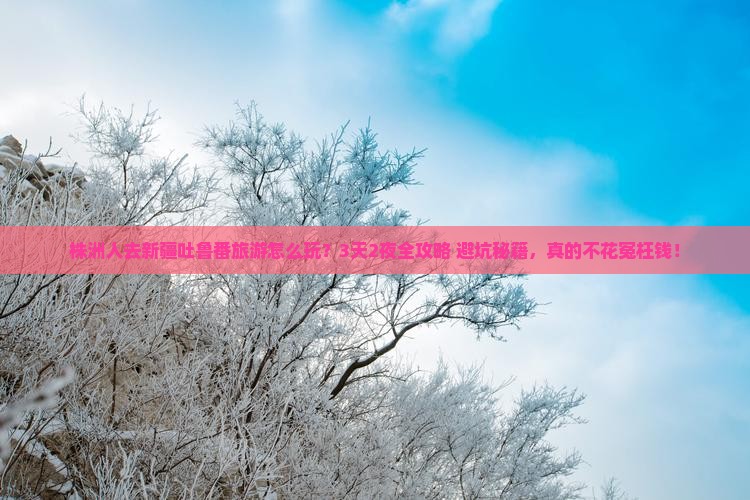 株洲去新疆吐鲁番大型旅游团