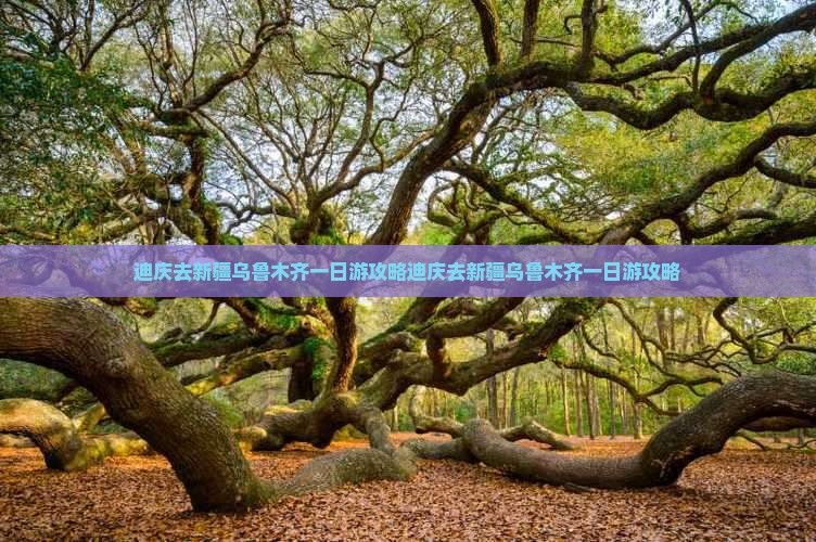 迪庆去新疆乌鲁木齐一日