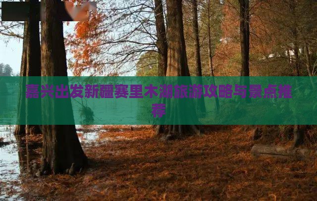 嘉兴到新疆赛里木湖自由行